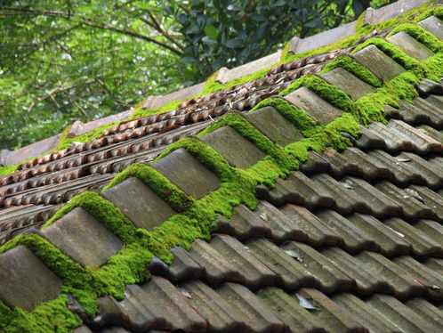 Démoussage de toiture à Saint-Georges-de-Reneins